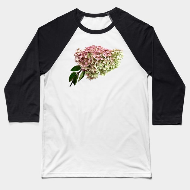 Hydrangeas - Sprig of Hydrangea Baseball T-Shirt by SusanSavad